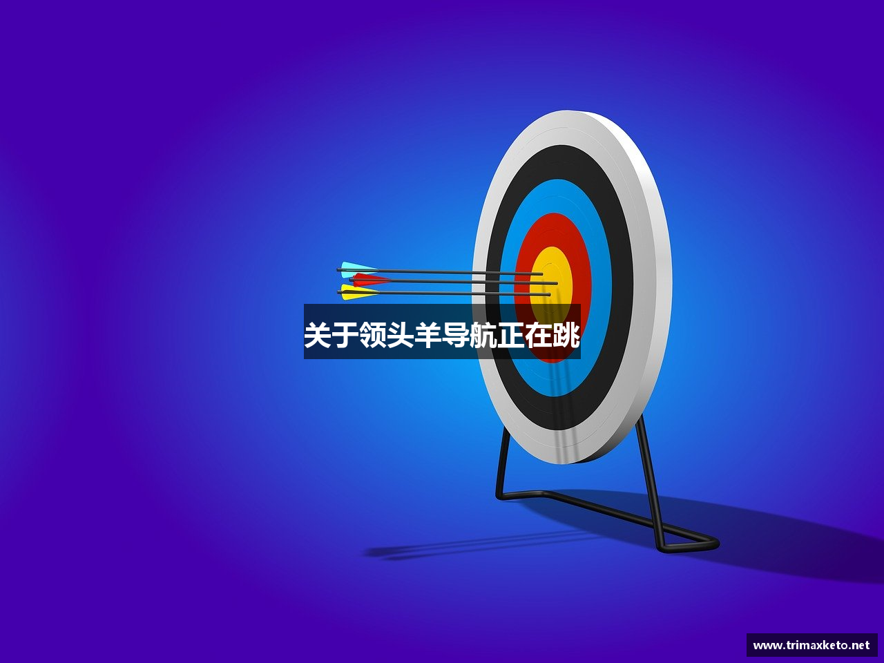 关于领头羊导航正在跳